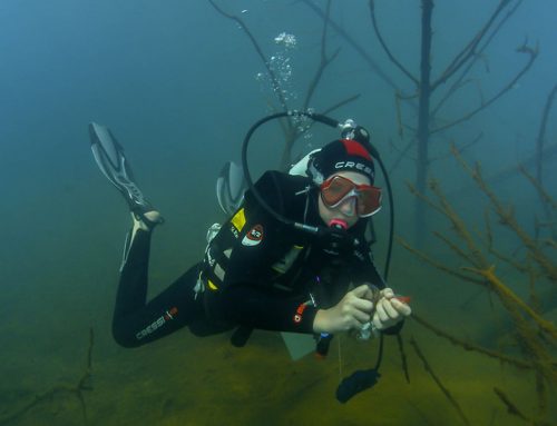 Junge Unterwasserforscher