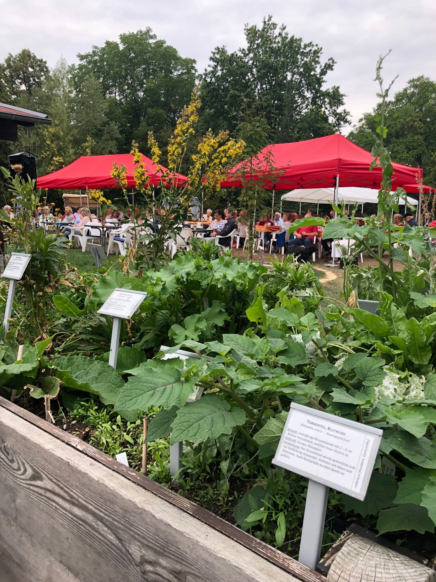 Großpösna Oberholz Botanischer Garten Sächsische MitmachFonds